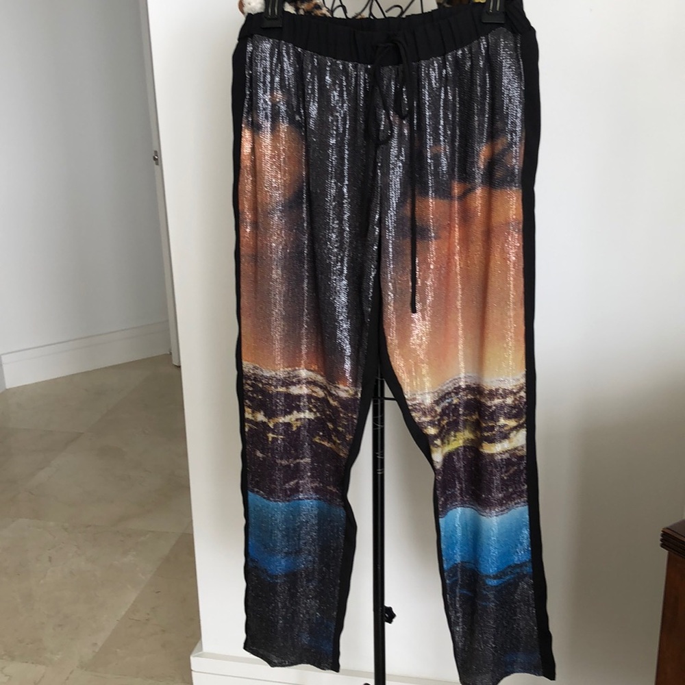 CLOVER CANYON ELEGANT SEQUINED PANTS